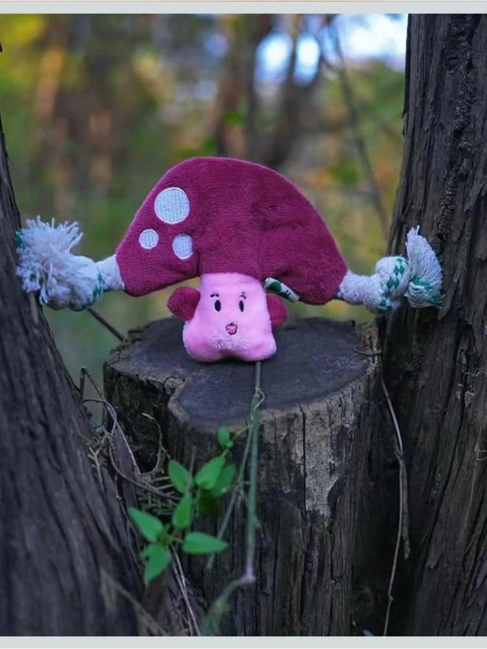 Plush Mushroom Rope Dog Toy - Pink & Berry, NWT